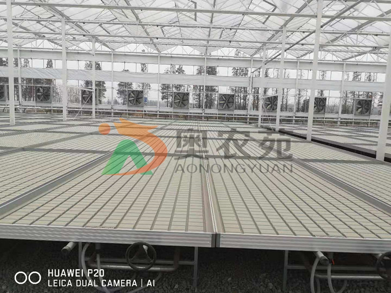 安徽现代综合农业示范园区荷兰新型智能温室项目