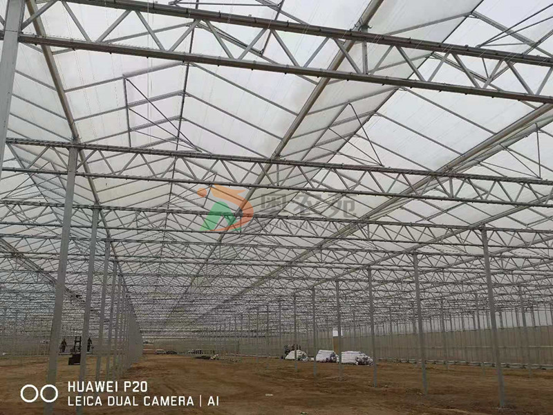 甘肃高新农业示范园区新型智能荷兰温室项目30000㎡