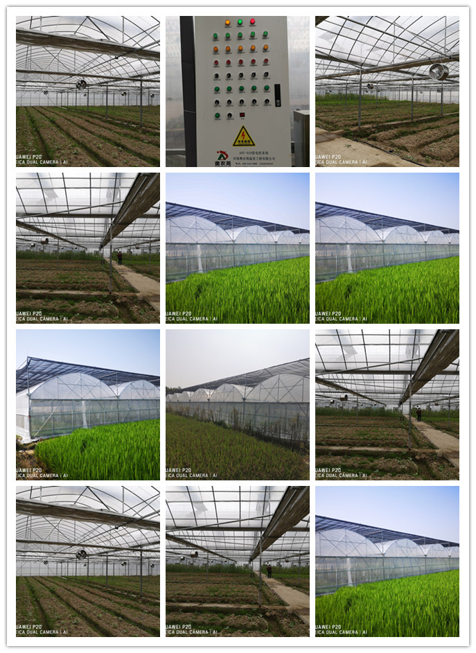 浙江省湖州农校连栋智能薄膜温室大棚