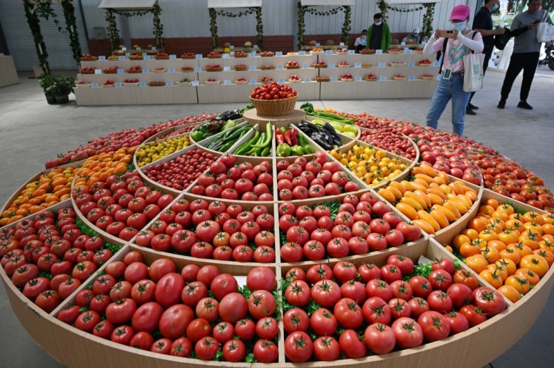 1.展览现场展出的各类种子产品（7月27日摄）。新华社记者 王鹏 摄