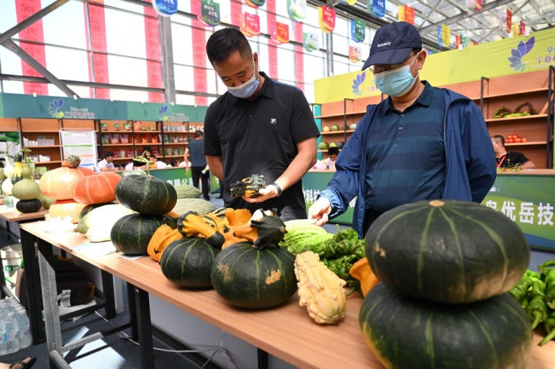 2.7月27日，参会者在展览现场了解种子产品。新华社记者 王鹏 摄